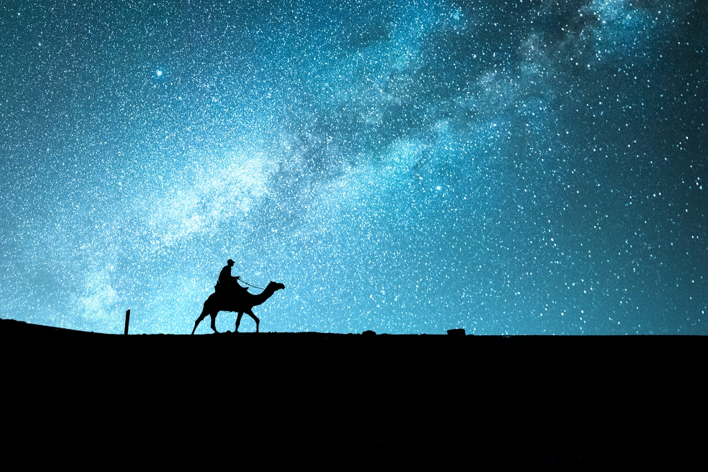 Egyptian desert that is roamed by a camel in the wonderous night.